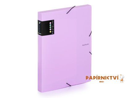 Krabice PP s gumou A4 PASTELINI fialová 2-579