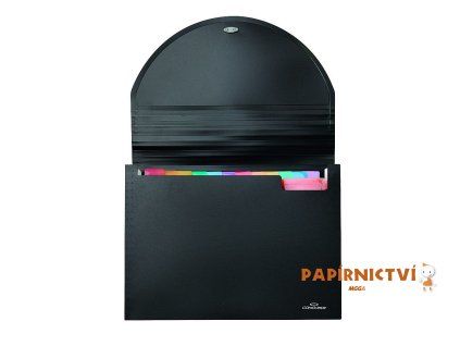 Organizér na dokumenty CONCORDE s gumou, 25 kapes A80190