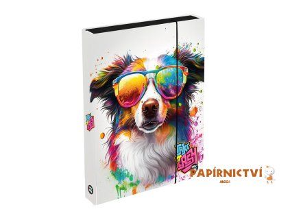 Box na sešity A4 Jumbo Pes 1-46825