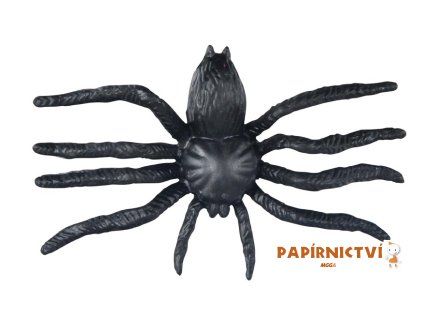 Pavouk plast 6cm 6pcs černý 1042557