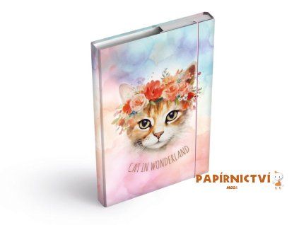 Desky na sešity MFP box A5 Cat 8021096