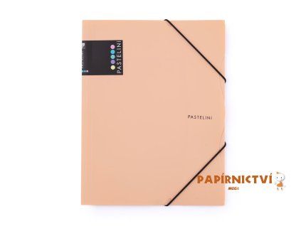 Sloha s gumou A4 PP PASTELINI meruňková 2-658