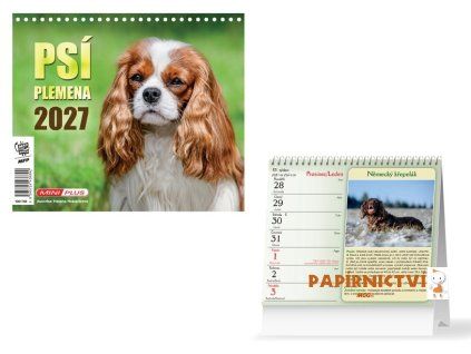 Kalendář 2027 stolní mini Psí plemena 1061768