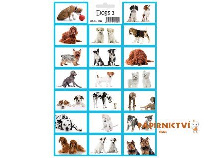 1122 450px