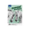 Dopisní papír OB 5550026