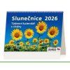 Stolní kalendář Slunečnice 2026 211x148(30)mm S40-26