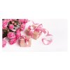 Dopisní obálka MFP DL 170g/m2 barevná (mix) 5550379