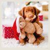 LP02 27 012
