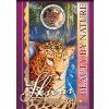 S42 NATURE Leopard