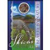 S42 NATURE Zebra
