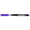 9383 Violet